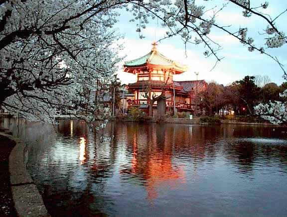 Shinobazu pond
